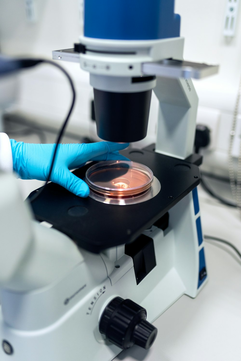 Laboratory analyst handling a sample during testing